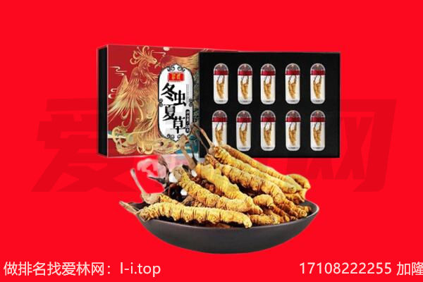 广元回收虫草.jpg